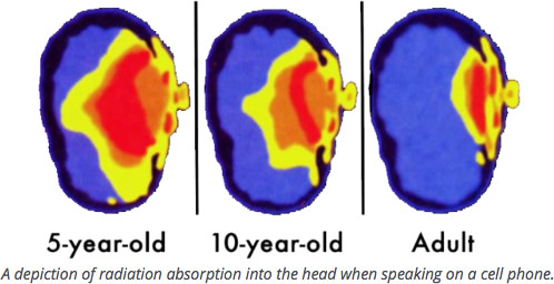 cell phone radiation