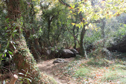 Richtis Gorge, Crete 