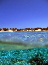 seabed of chrissi island